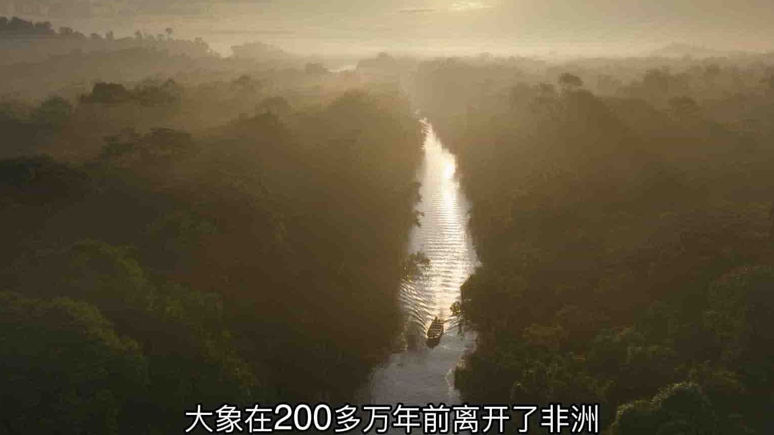 国家地理《象群之谜/大象的秘密 Secrets of the Elephants 2023》全4集 英语多国中字 4K超高清网盘下载