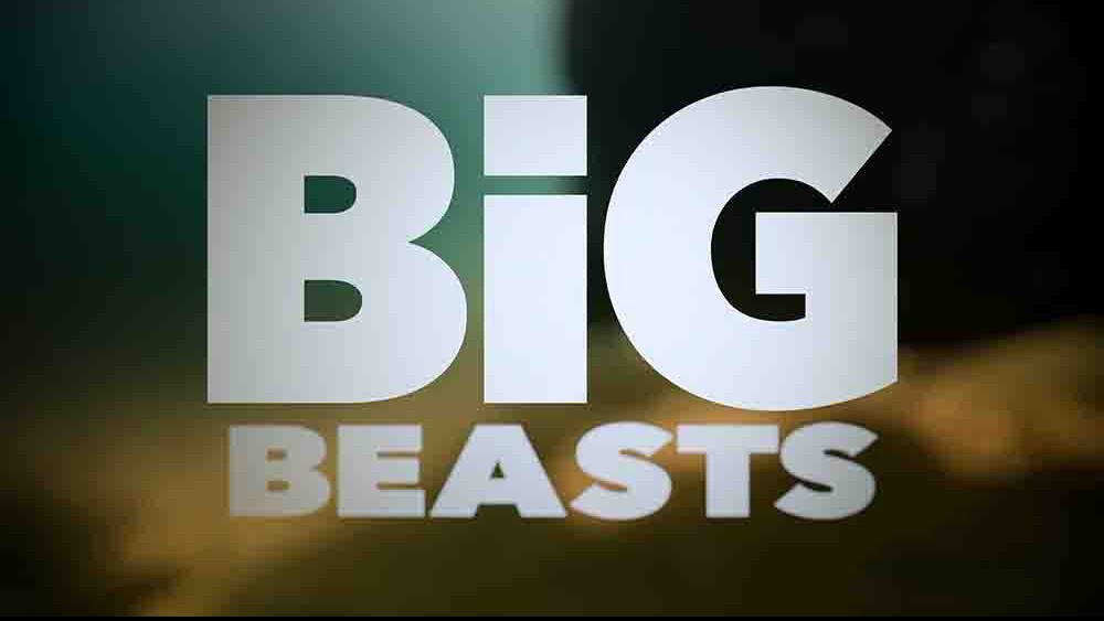 AppleTV纪录片《巨兽/大动物大不易 Big Beasts 2023》全10集 英语多国中字 4K超高清网盘下载
