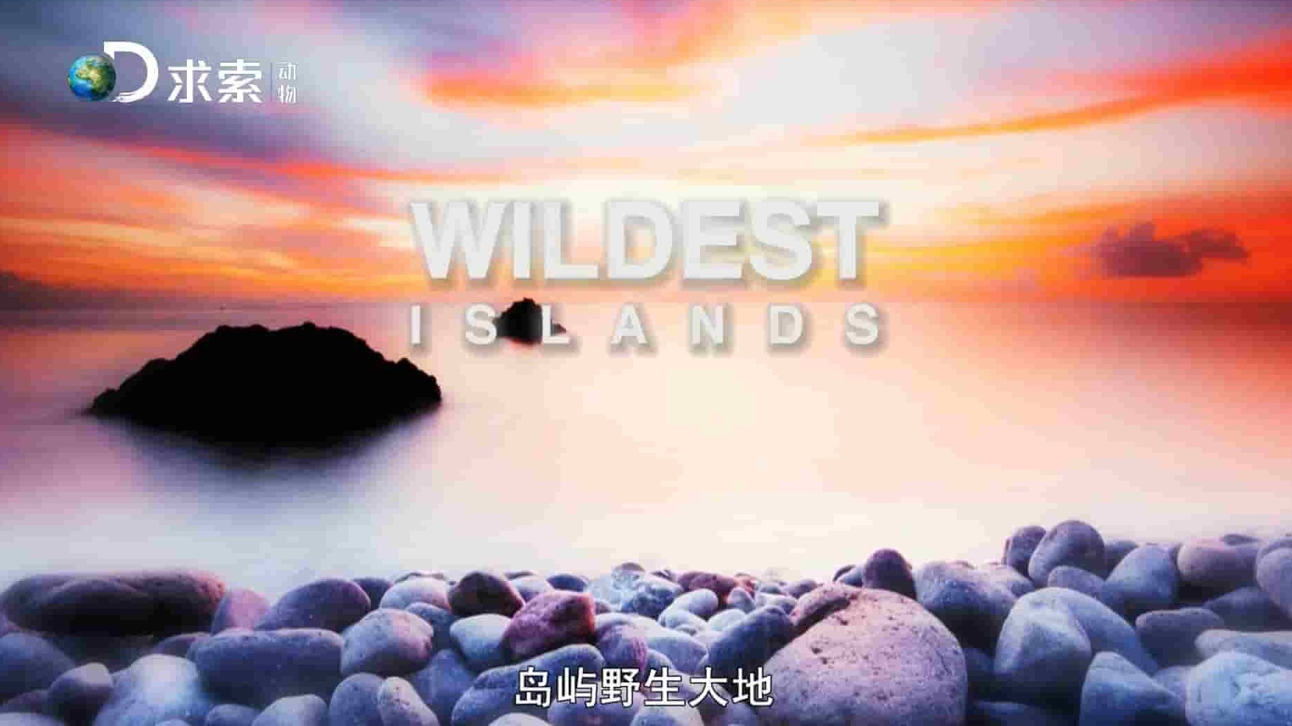 探索频道《岛屿野生大地/野性岛屿 Wildest Islands》第1-2季全10集 英语中字 1080P高清网盘下载