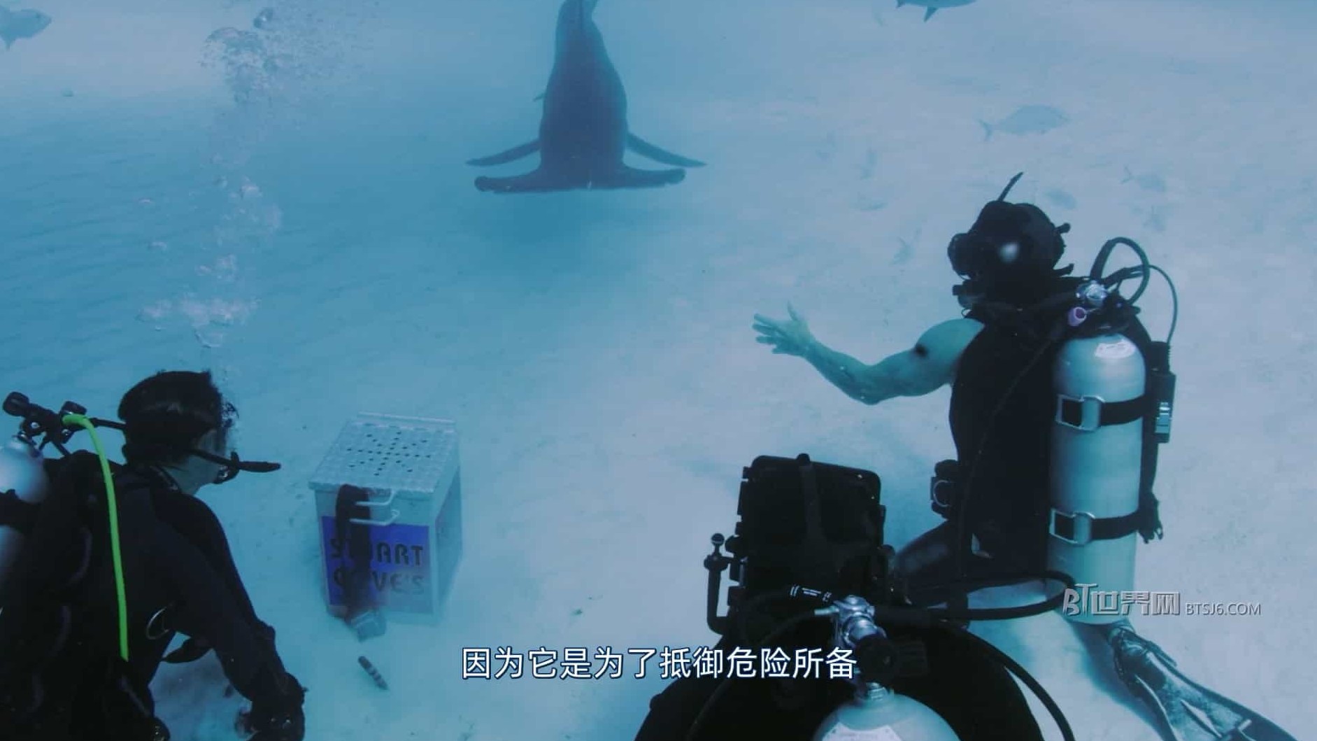 国家地理《人鲨大战 Man vs. Shark 2019》全1集 英语中字 1080P高清网盘下载