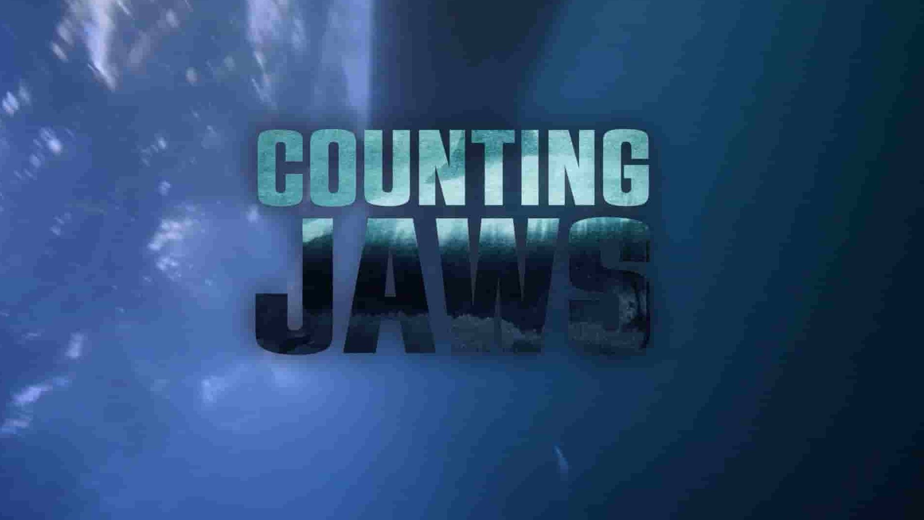 国家地理《数数大白鲨 Counting Jaws 2022》全1集 英语多国中字 1080P高清网盘下载
