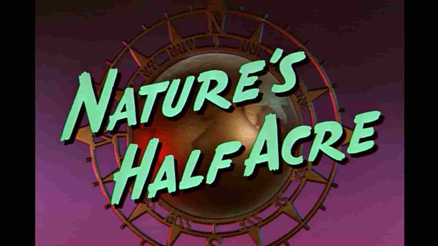 迪士尼纪录片《自然盛宴/大自然的50英亩/真实生活中的冒险：大自然的半英亩 Nature