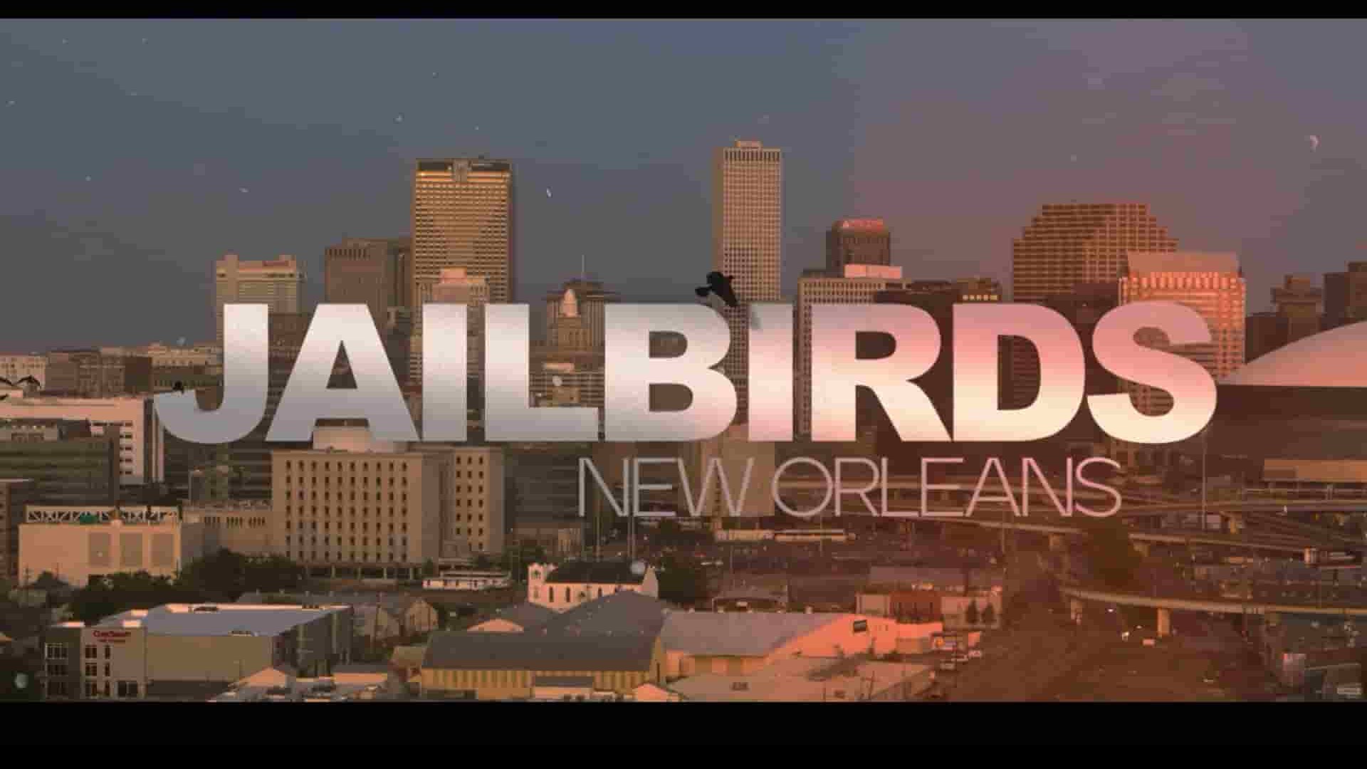 Netflix纪录片《女犯：新奥尔良 Jailbirds New Orleans 2021》全3集 英语多国中字 1080P高清网盘下载