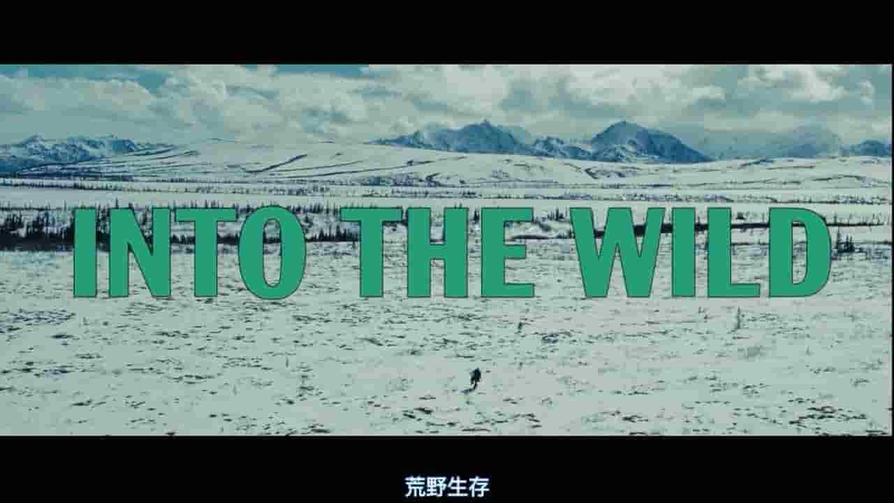 真人真事改编电影《荒野生存/ 荒野伴我心 Into the Wild》全1集 中英双字 720P高清网盘下载 