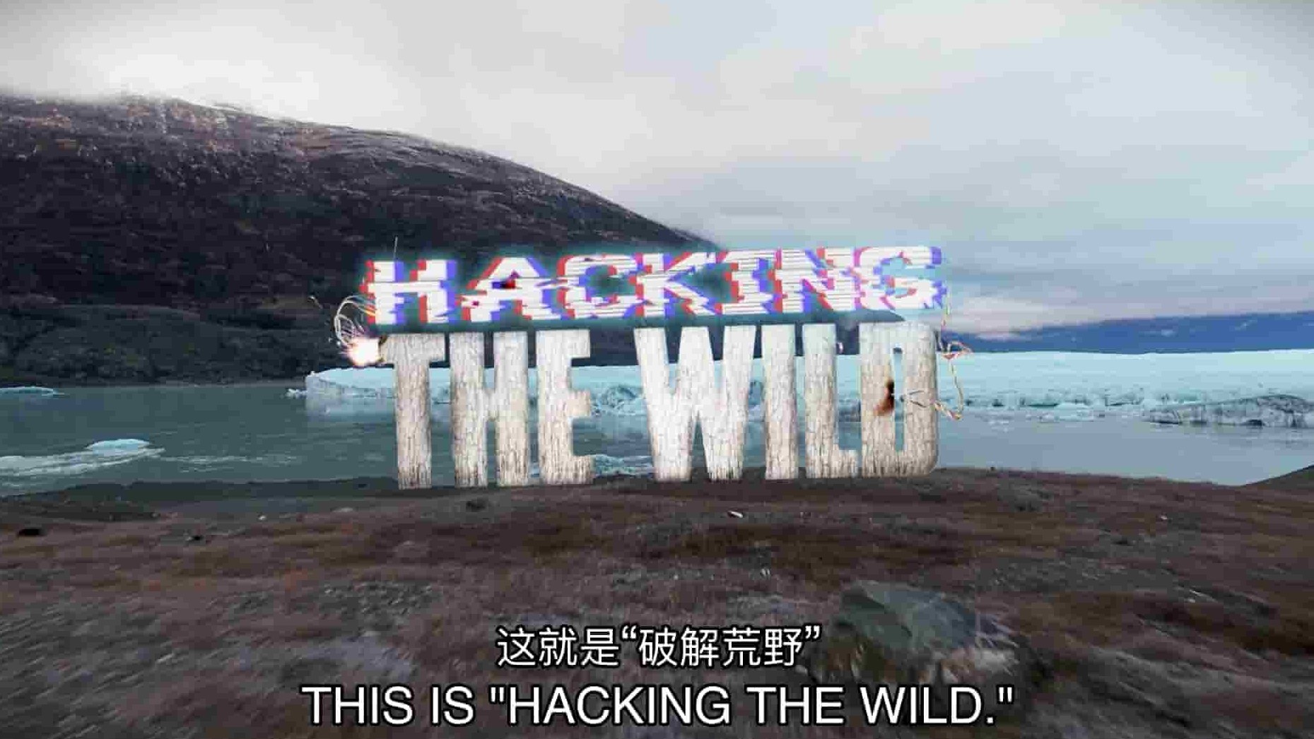 科学频道《荒野黑客 Hacking the Wild 2017》第1季全5集 英语中英双字 1080P高清网盘下载