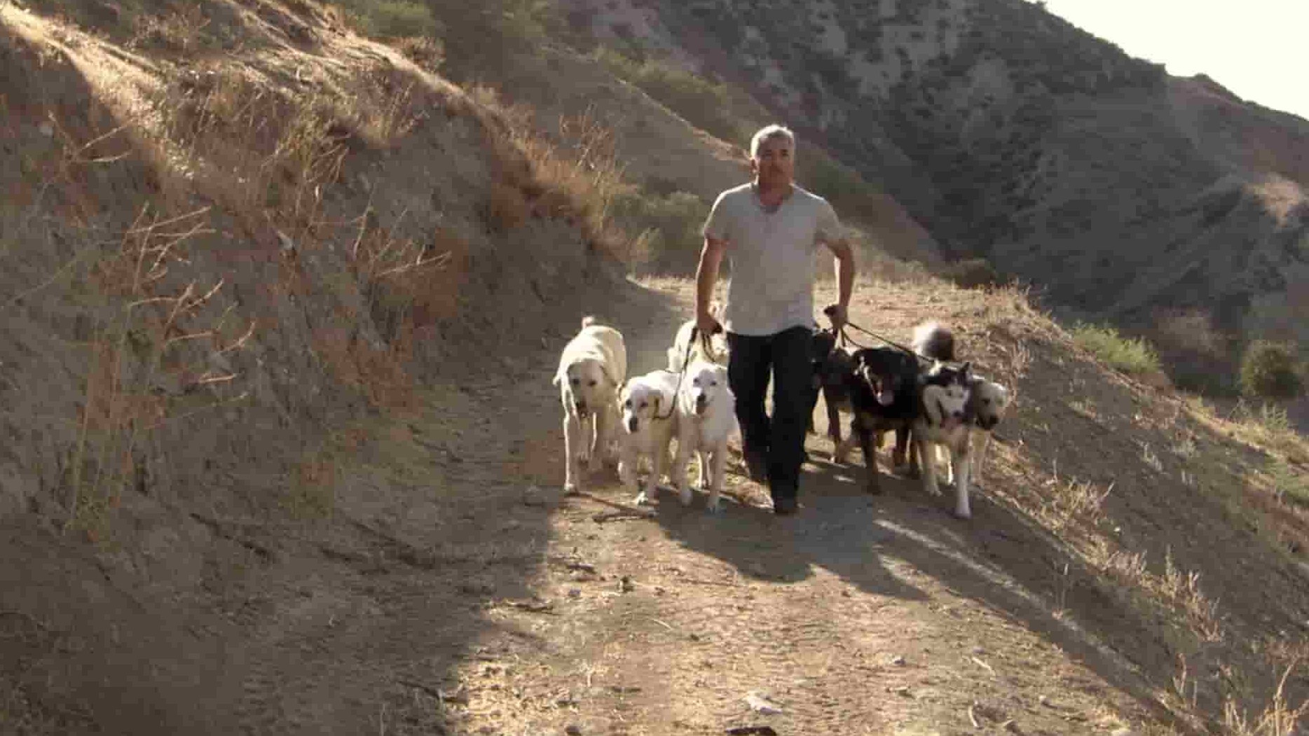 国家地理《西泽·米兰：真实故事 Cesar Millan: The Real Story 2012》全1集 英语中英双字 1080P高清网盘下载