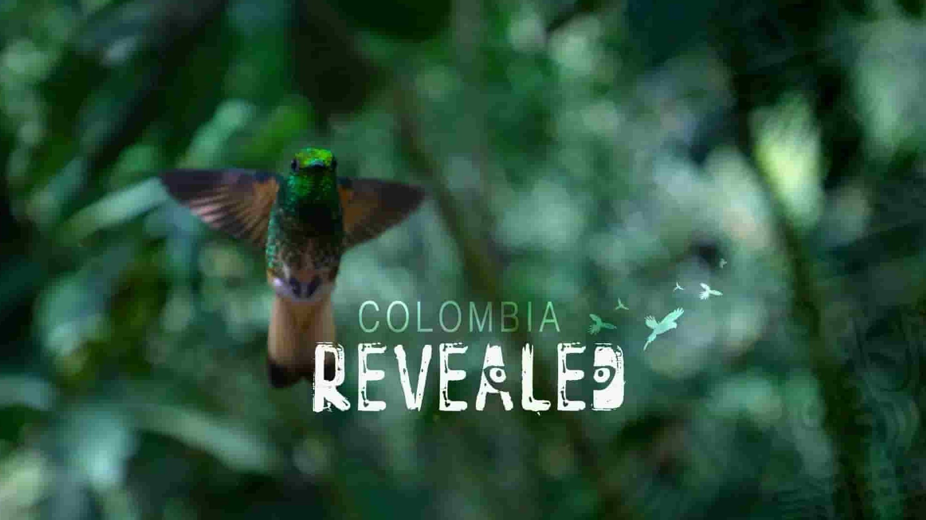 哥伦比亚纪录片《哥伦比亚：狂野魔力/野性哥伦比亚 Colombia Nagia Salvaje 2015》全1集 英语中英双字 1080P高清网盘下载