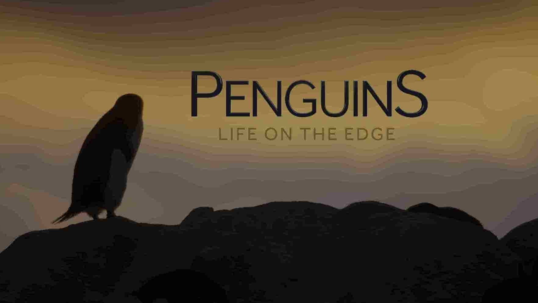 迪士尼纪录片《企鹅：极地追踪 Penguins: Life on the Edge 2020》全1集 英语多国字幕 4K超高清网盘下载