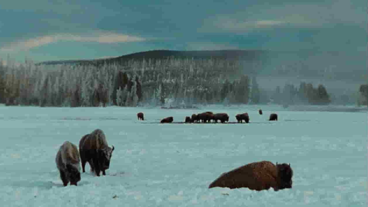 PBS纪录片《美国国家公园全纪录 The National Parks: America’s Best Idea》全6集 英语中字 720P高清高清网盘下载