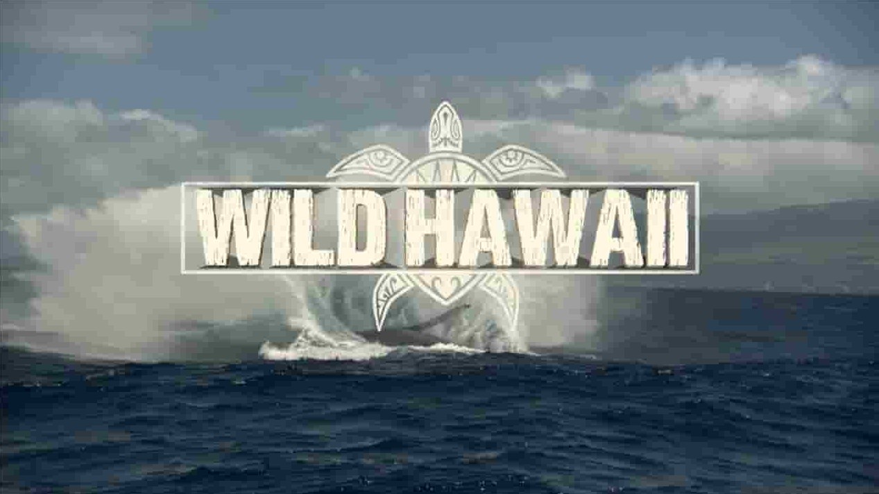 国家地理《野性夏威夷 Wild Hawaii 2014》全2集 英语中英双字 1080p高清网盘下载