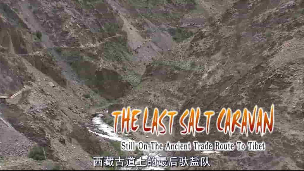 西藏纪录片《最后的盐道 The Last Salt Caravan》全1集 英语中字 1080P高清网盘下载
