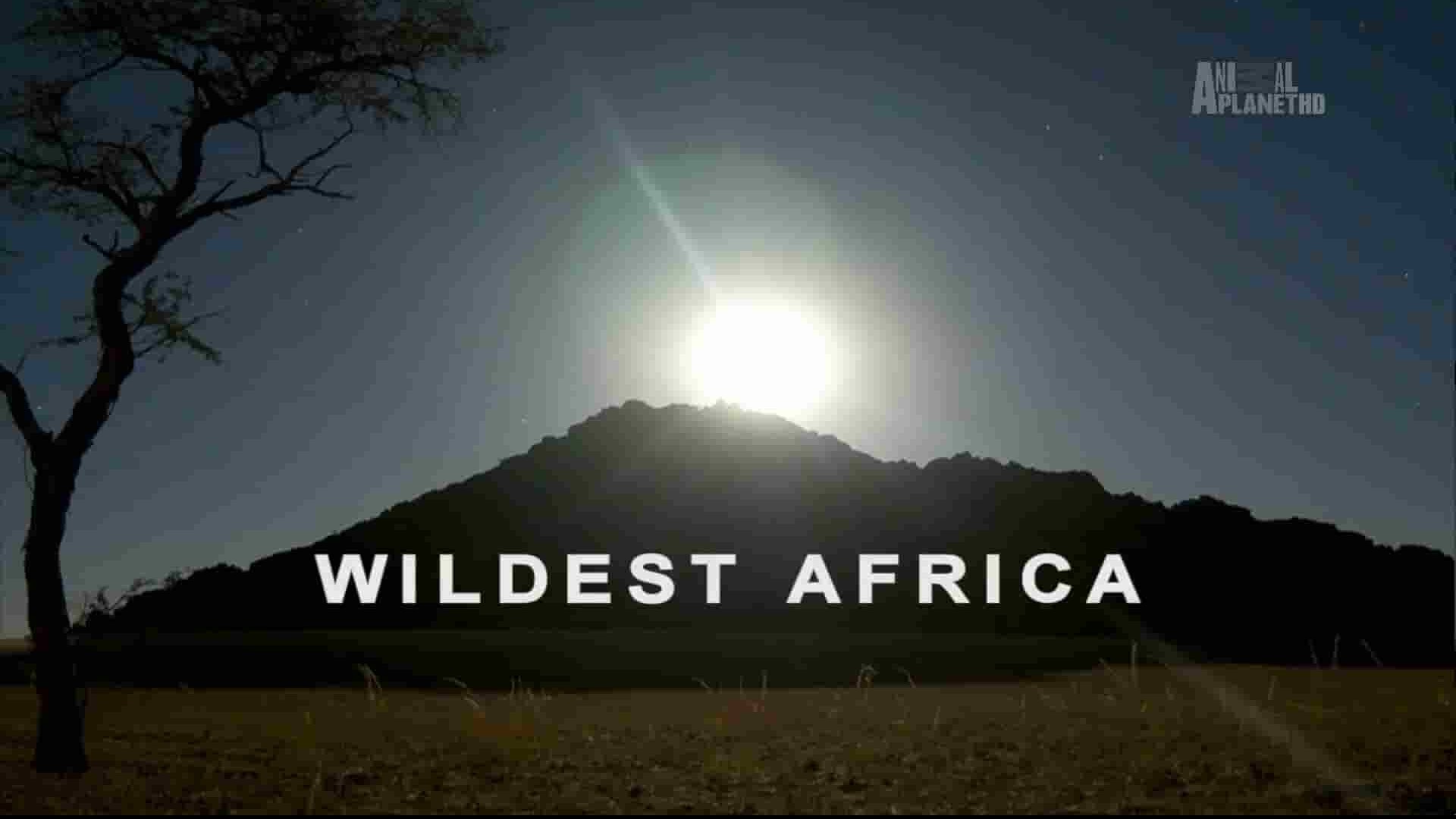 美国纪录片/动物星球《非洲野生大地/狂野非洲/野性非洲 Wildest Africa》全13集 英语无字 1080P高清网盘下载