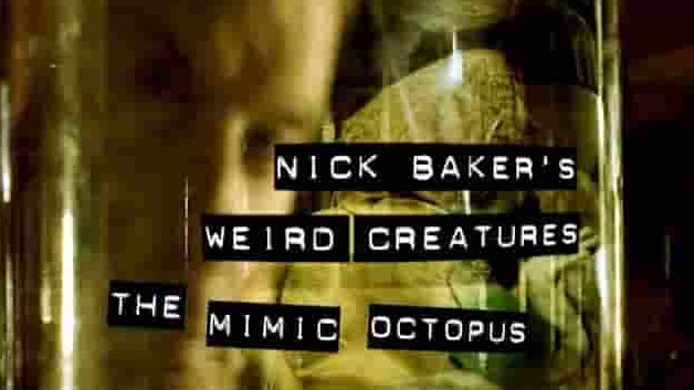 探索频道《怪异生物/尼克的怪兽朋友 Weird Creatures》第1-3季全23集 英语中英双字 1080P高清网盘下载