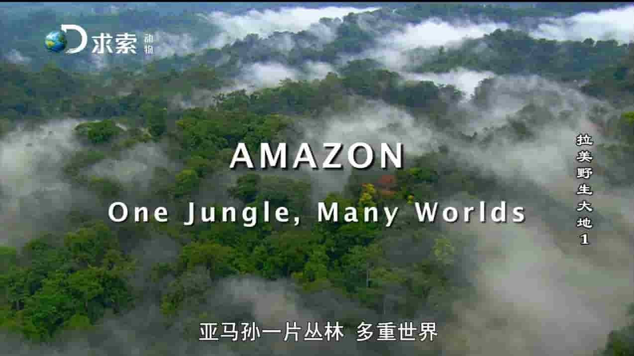 探索频道《拉美野生大地 Wildest Latin America》全5集 国语中字 720P高清网盘下载