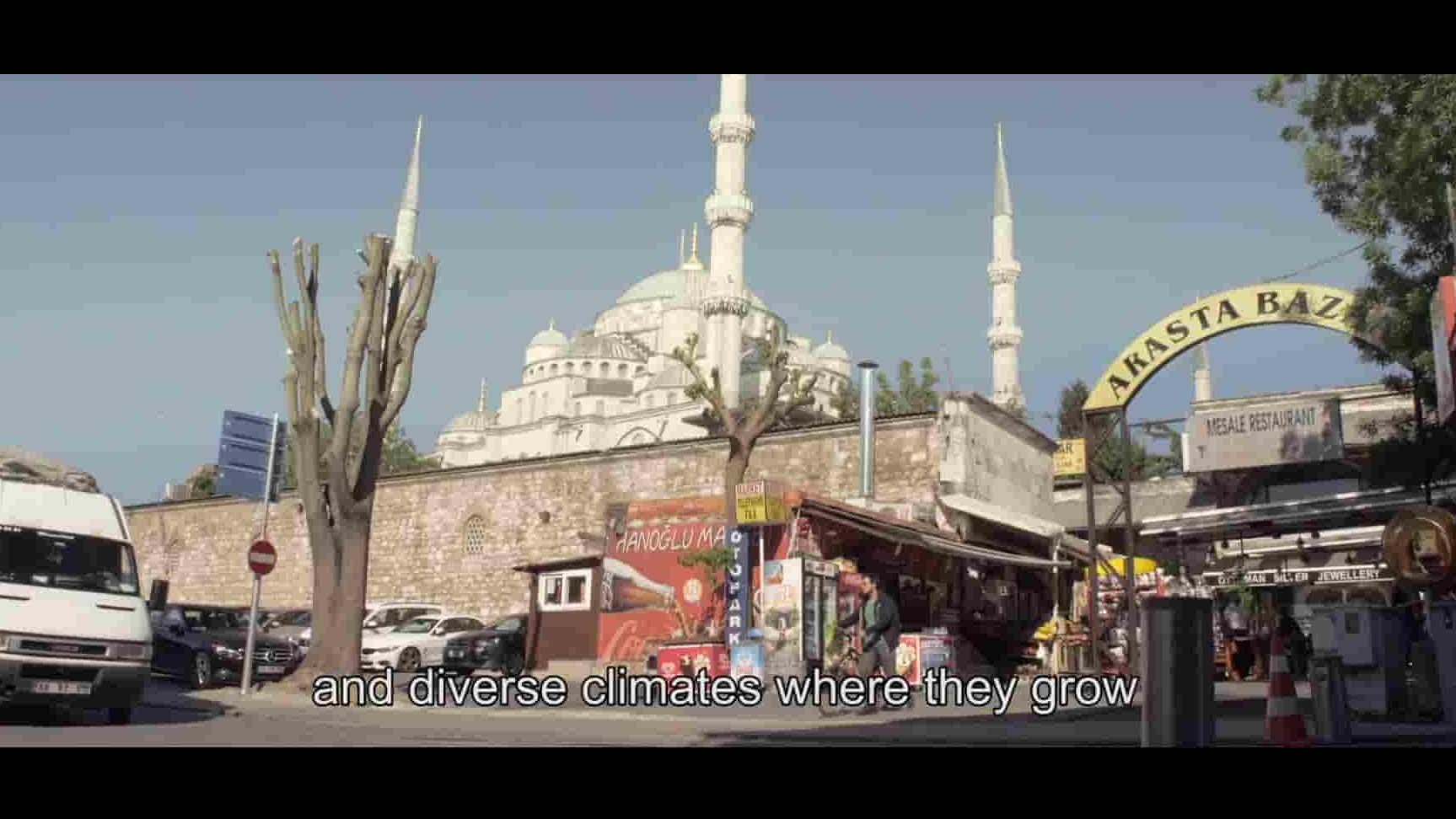 西班牙纪录片《土耳其之路 The Turkish Way 2016》全1集 英语中英双字 1080P高清网盘下载