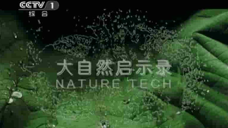 ORF纪录片《超自然科技/大自然启示录 Nature Tech》全3集 国语中字 标清网盘下载