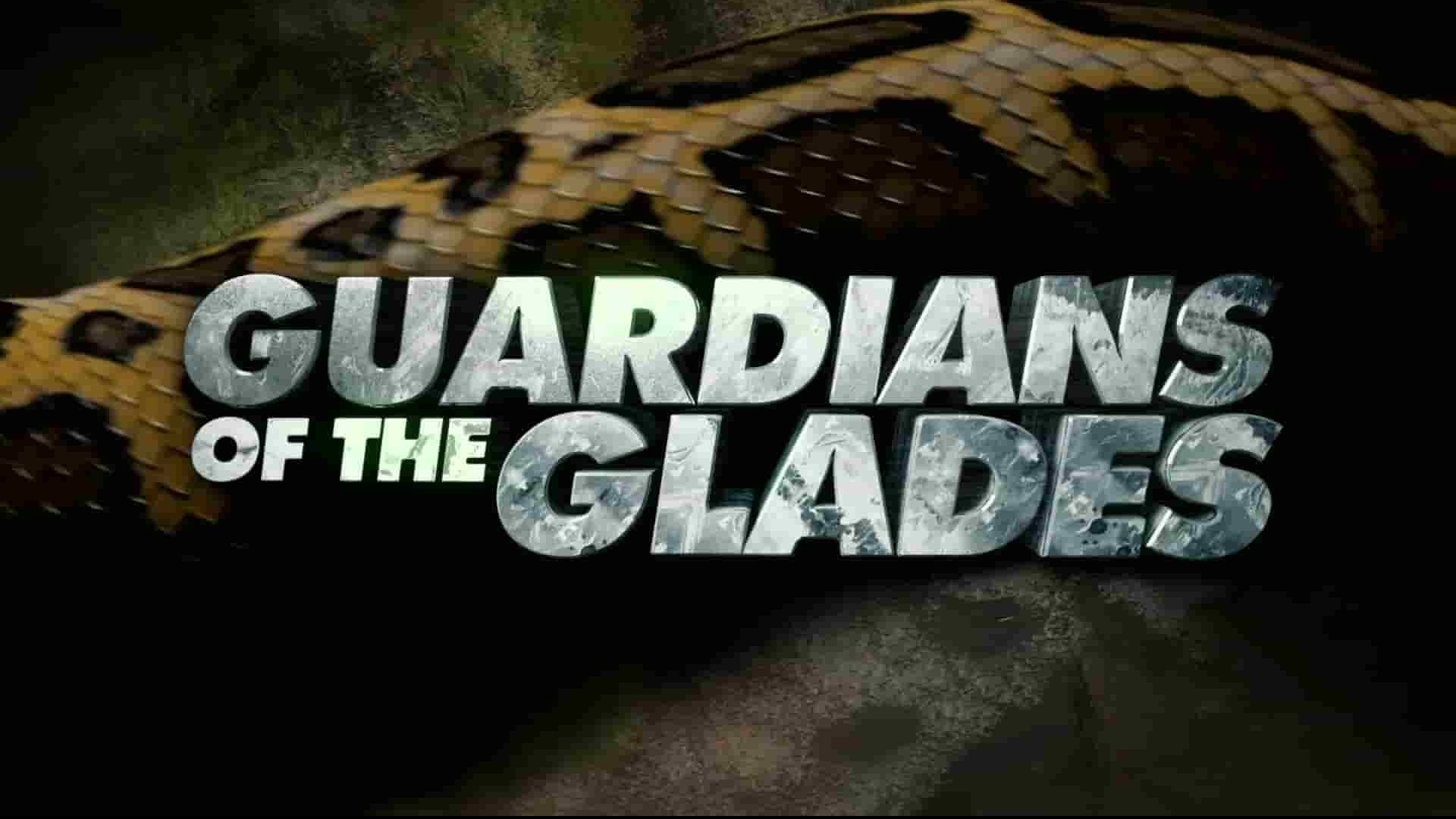 探索频道《湿地守护者/格莱德斯的守护者 Guardians of the Glades 2020》第1-2季全18集 英语中英双字 1080P高清网盘下载