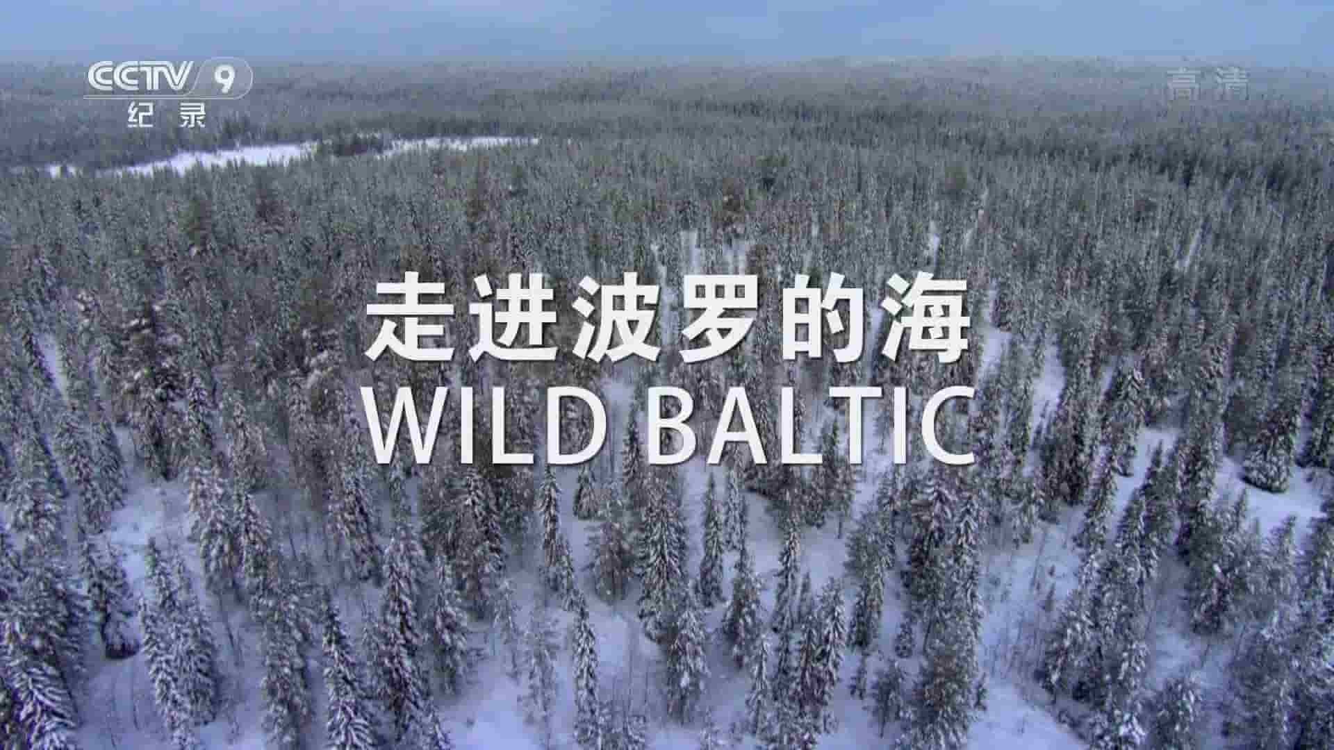 央视纪录片《走进波罗的海 Wild Baltic 2017》全2集 国语中字 1080P高清网盘下载