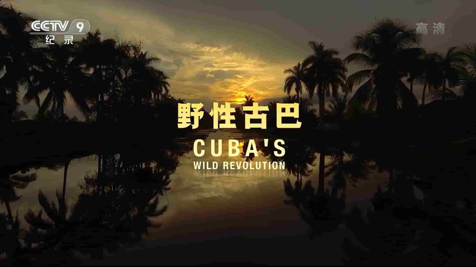 PBS纪录片《野性古巴 Cuba’s Wild Revolution 2020》全1集 国语中字  1080i高清网盘下载