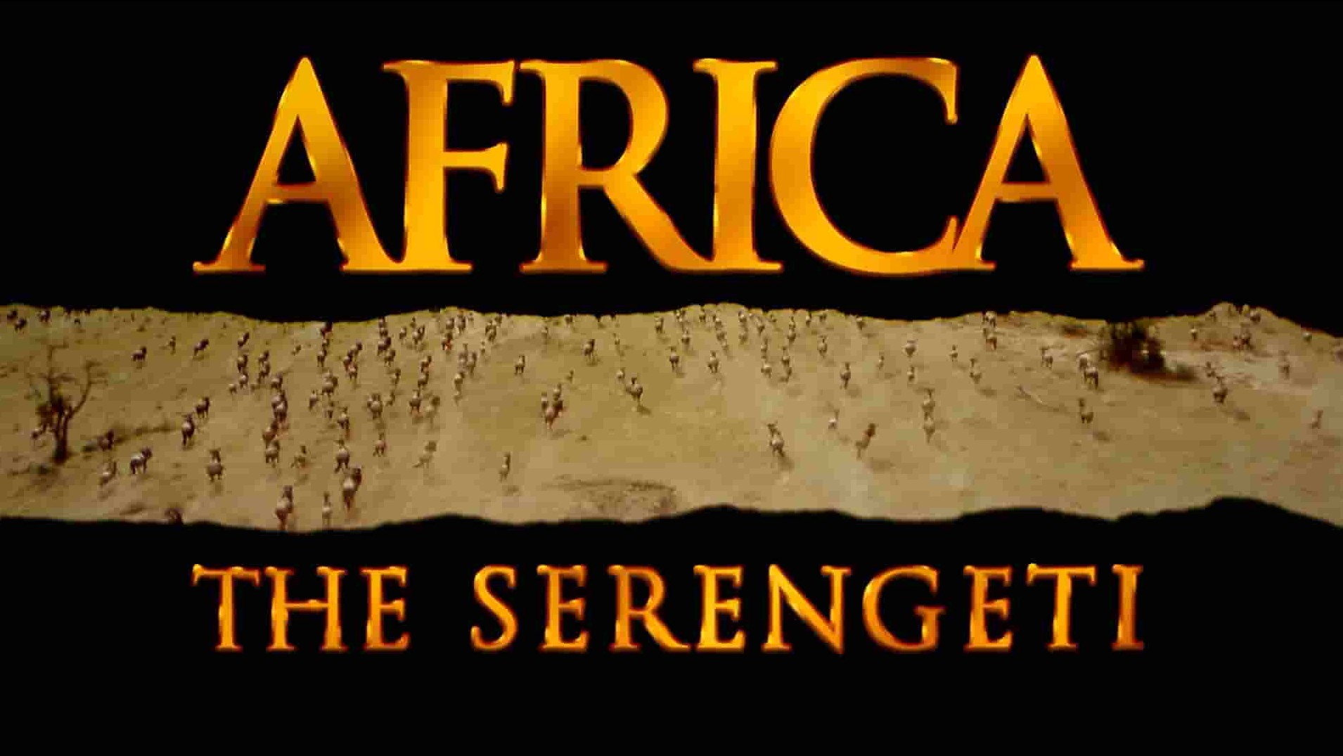 IMAX纪录片《非洲：塞伦盖蒂国家公园 Africa: The Serengeti 1994》全1集 英语中字 1080P高清网盘下载 