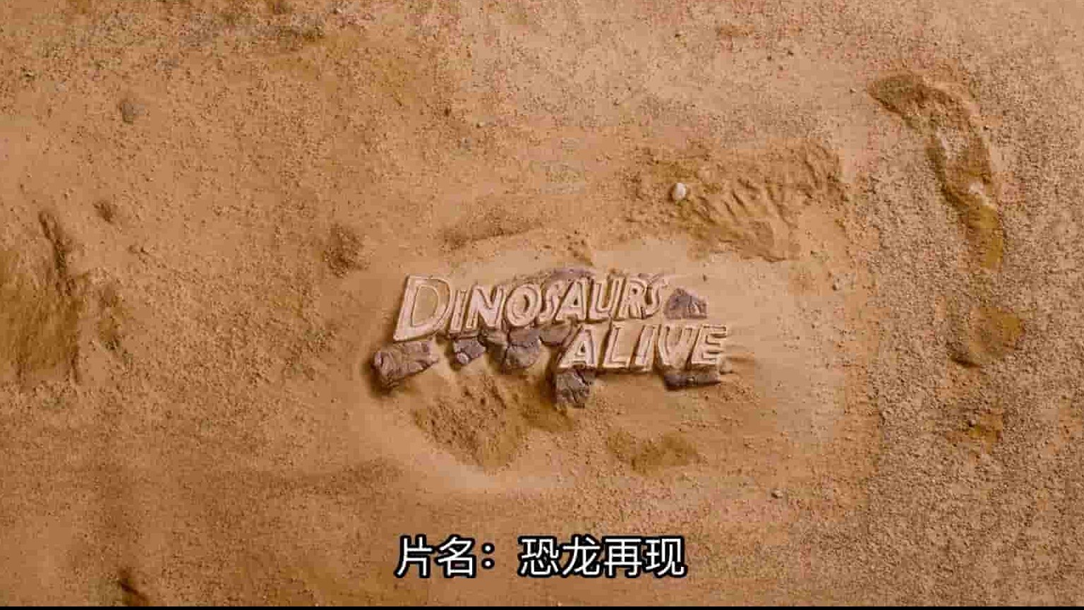 IMAX纪录片《恐龙再现 Dinosaurs Alive 2009》全1集 英语中英字幕 1080P高清网盘下载