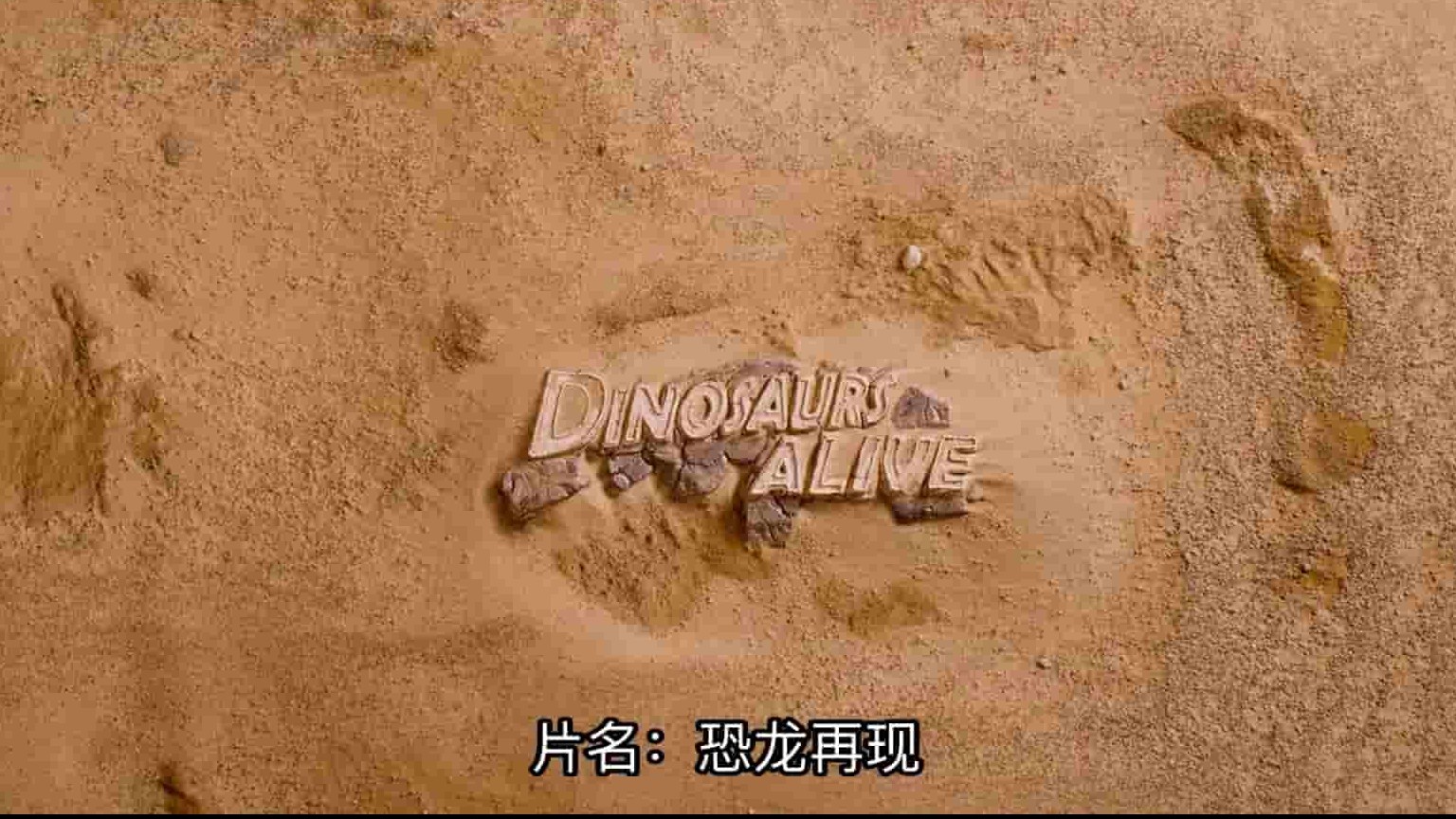 IMAX纪录片《恐龙再现 Dinosaurs Alive 2009》全1集 英语中英字幕 1080P高清网盘下载