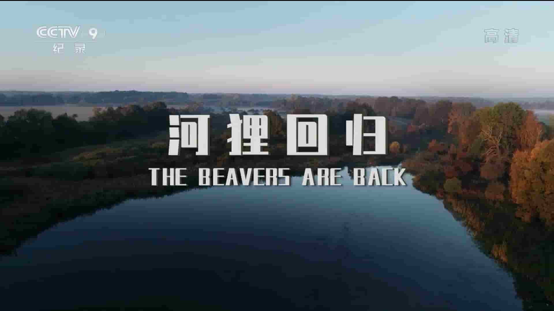 央视纪录片《河狸历险记/河狸回归 Waterland Warriors:The Beavers are Back 2015》全1集 国语中字 1080P高清网盘下载