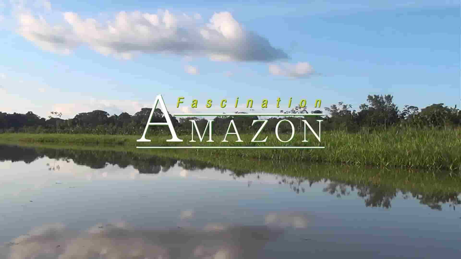 亚马逊纪录片《亚马逊的魅力 Faszination Amazonas》全1集 英语中字 1080P高清网盘下载