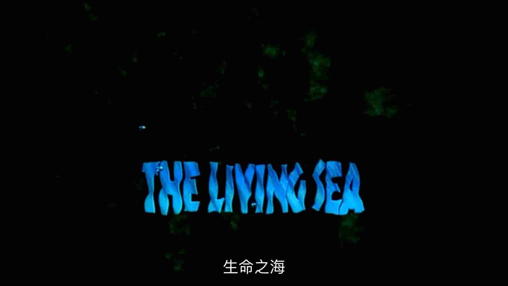 IMAX纪录片《生命海洋 The Living Sea》全1集 英语中字 1080P高清网盘下载