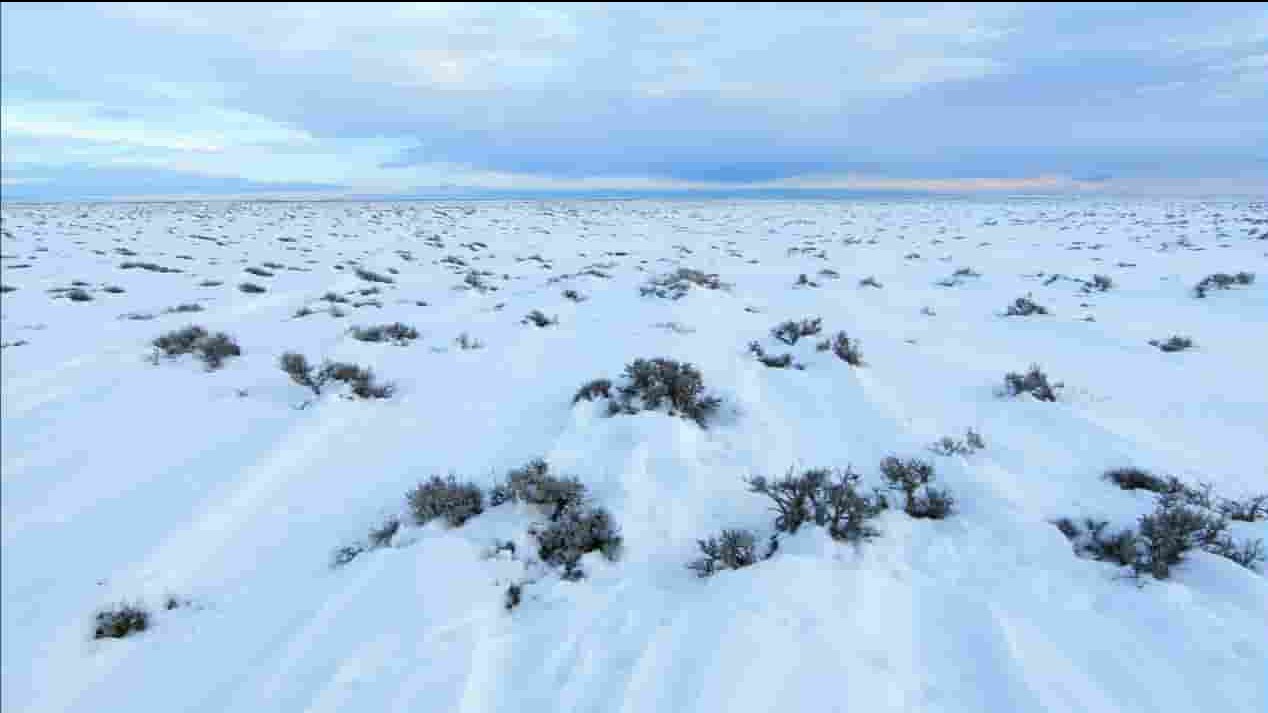 PBS纪录片《自然:艾灌海洋 Nature: The Sagebrush Sea》全1集 英语中字 720P高清网盘下载 