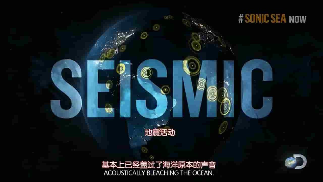 国家地理《噪声海洋 Sonic Sea2016》全1集 英语中字 720P高清网盘下载 
