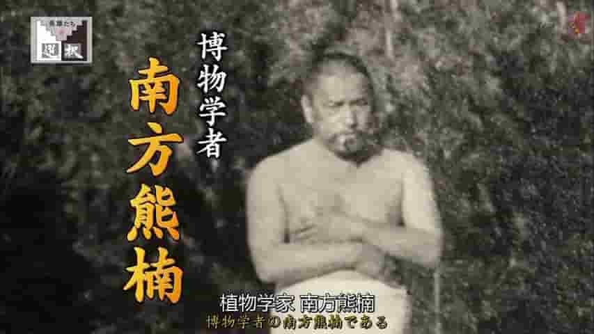 NHK纪录片《英雄的抉择—对抗日本政府的学霸南方熊楠 2017》全1集 日语中日字 720P高清网盘下载