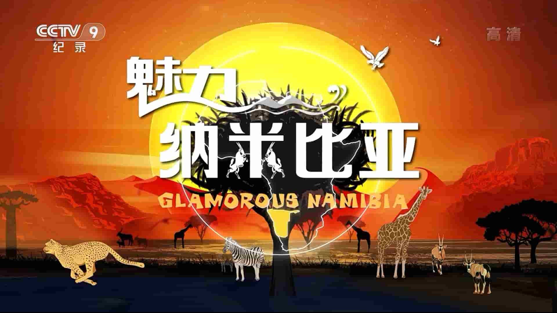 央视纪录片《魅力纳米比亚 Glamorous Namibia 2020》全4集 国语中字 1080i高清网盘下载