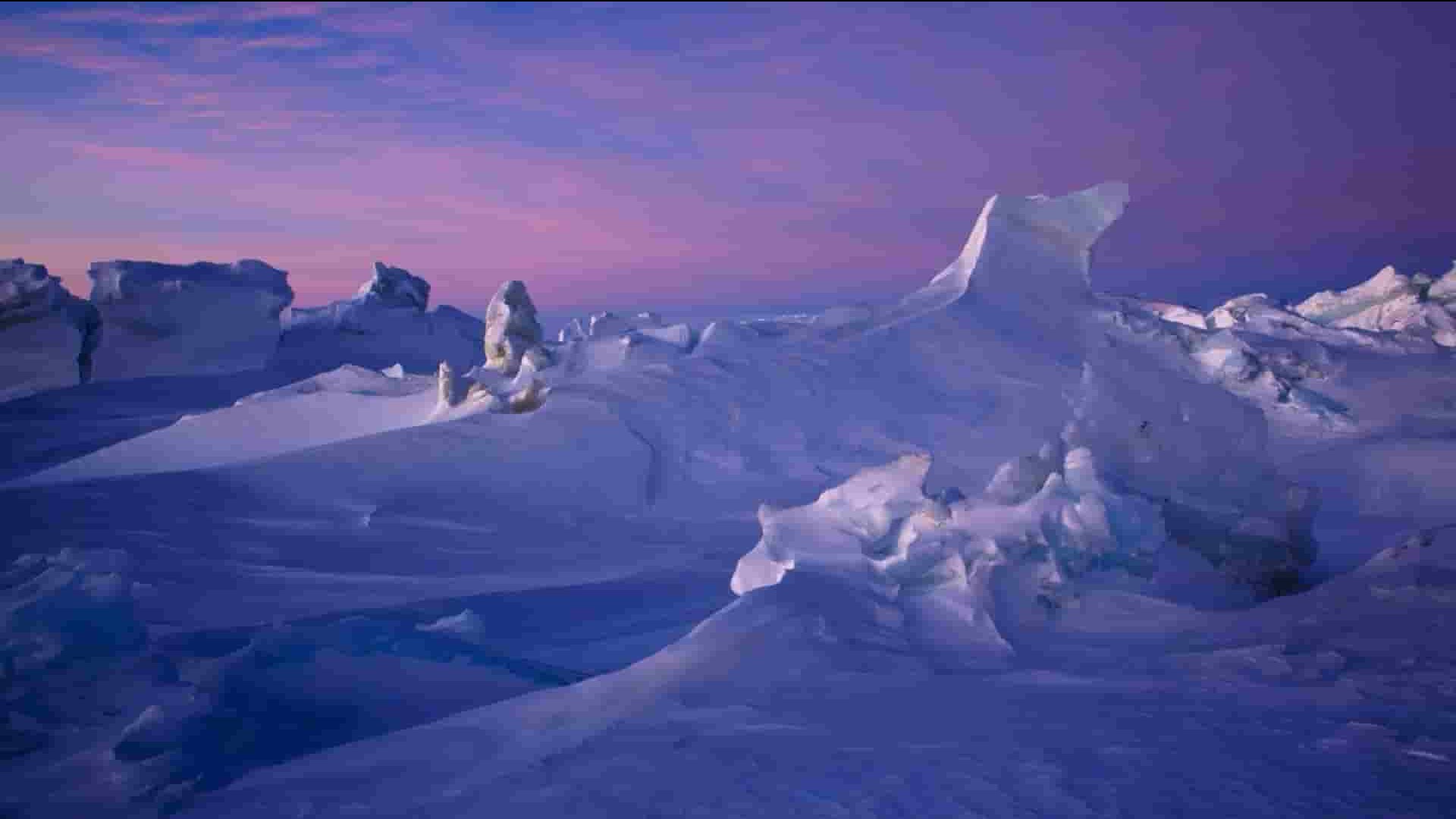 南极洲纪录片《南极洲：冰上的一年 Antarctica A Year on Ice》全1集 英语中字 720P高清网盘下载 