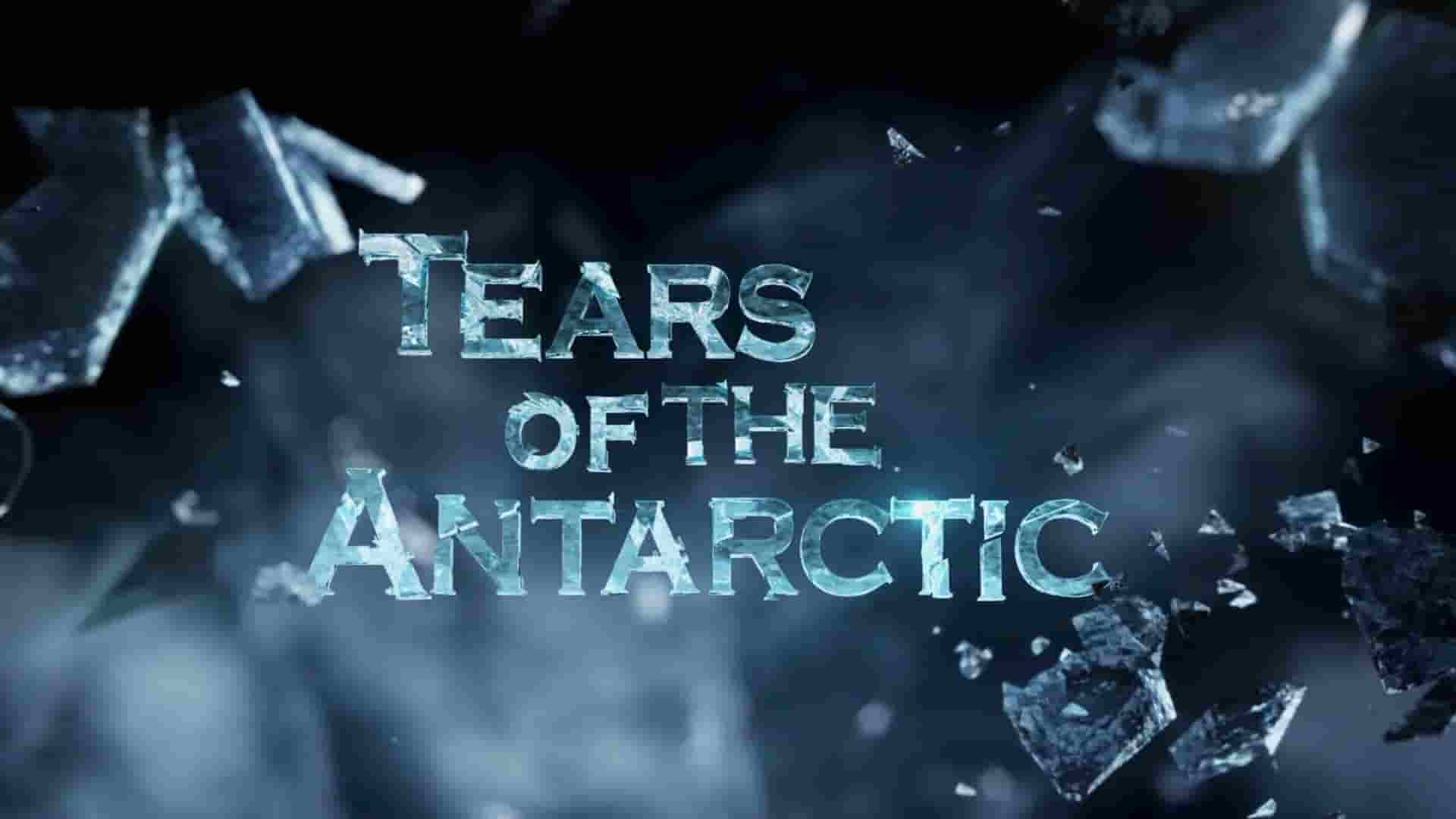 地球的眼泪系列三部曲之一《南极的眼泪 Tears of the Antarctic》全1集 韩语无字 1080P高清网盘下载 