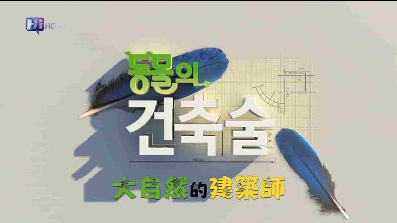  KBS纪录片《大自然的建筑师 Wildlife Architects》全3集 国语中字 720P高清网盘下载 