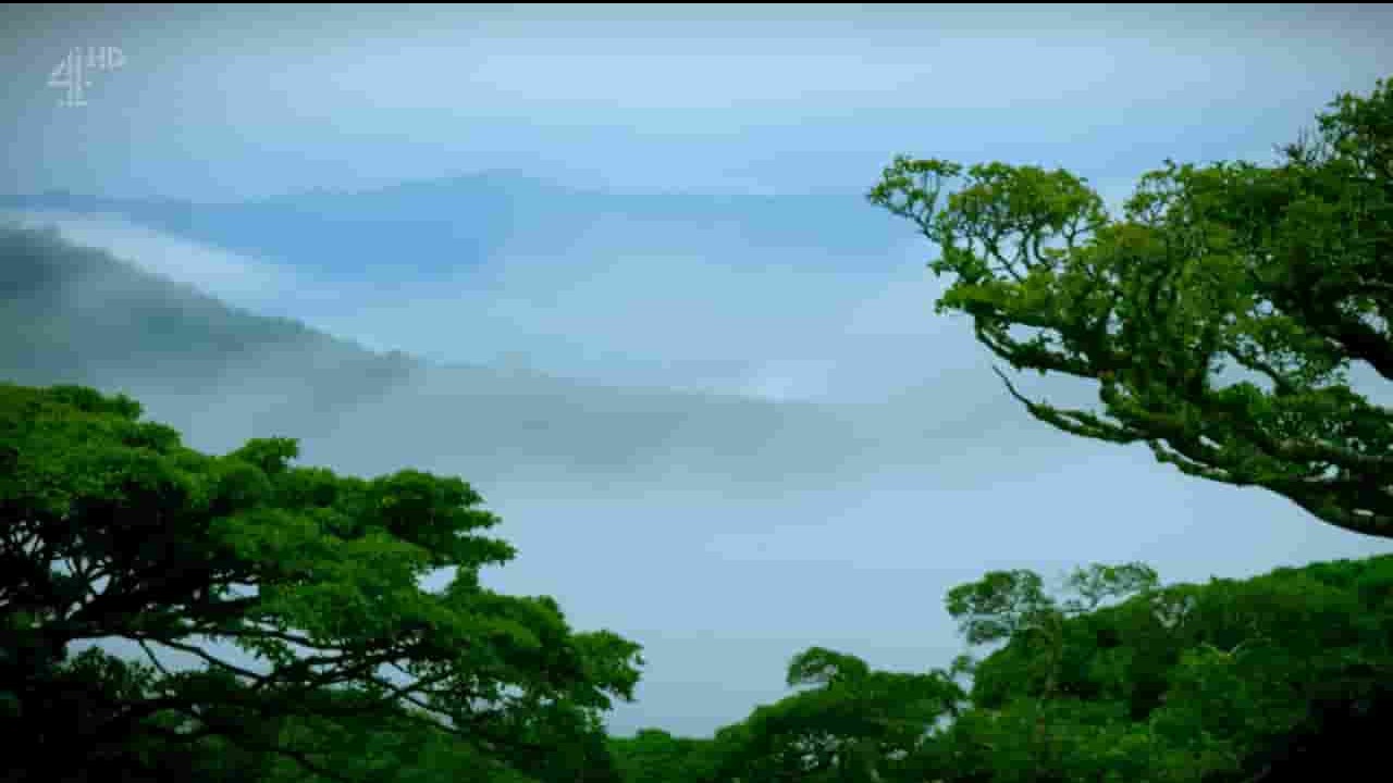 Ch4纪录片《避世桃园：哥斯达黎加 Escape to Costa Rica 2017》全1集 英语外挂英字 720P高清网盘下载