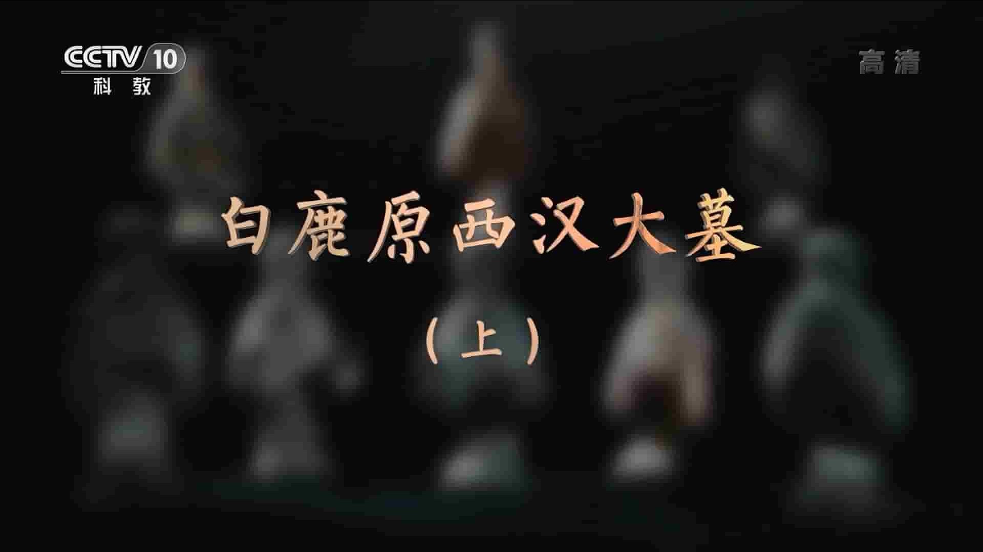 央视纪录片/探索·发现《白鹿原西汉大墓 2021》全2集 国语中字 1080P高清网盘下载