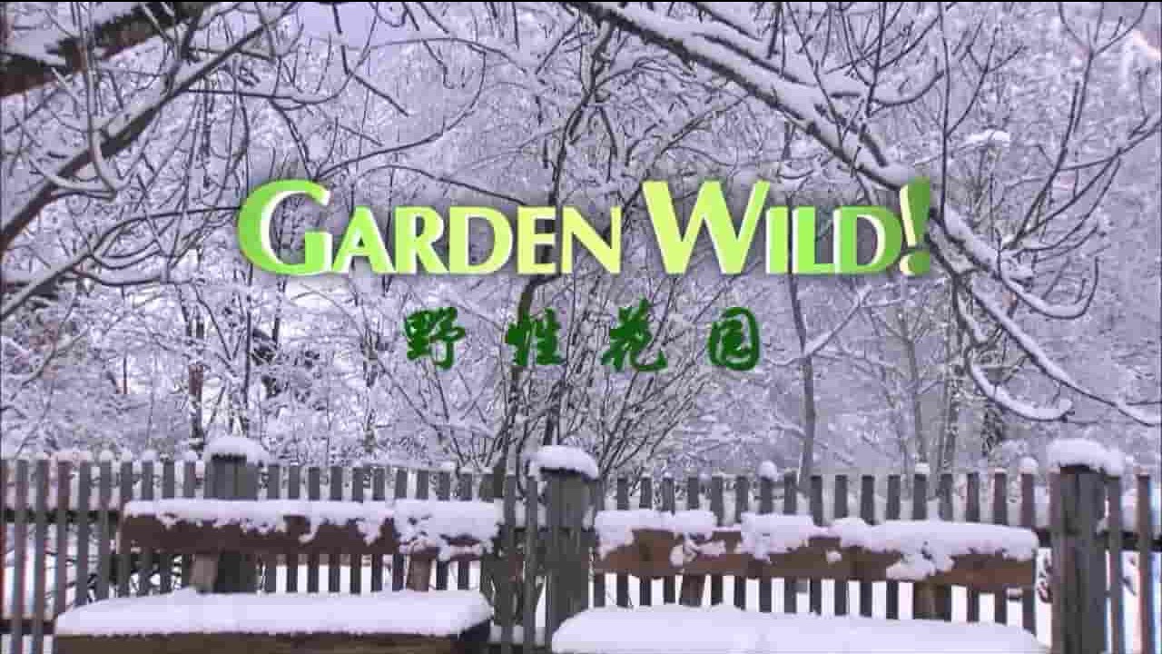 ORF纪录片《花园狂野 Garden Wild 2016》全1集 英语中英双字 720P高清网盘下载