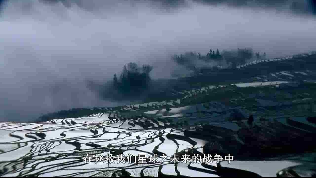 美国纪录片《绿色崛起的中国 Green China Rising》全1集 英语中字 720P高清网盘下载 