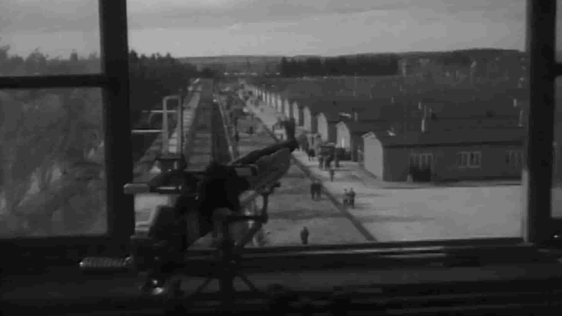 波兰纪录片《达豪集中营 Dachau Liberation 2021》全1集 英语中英双字 1080P高清网盘下载