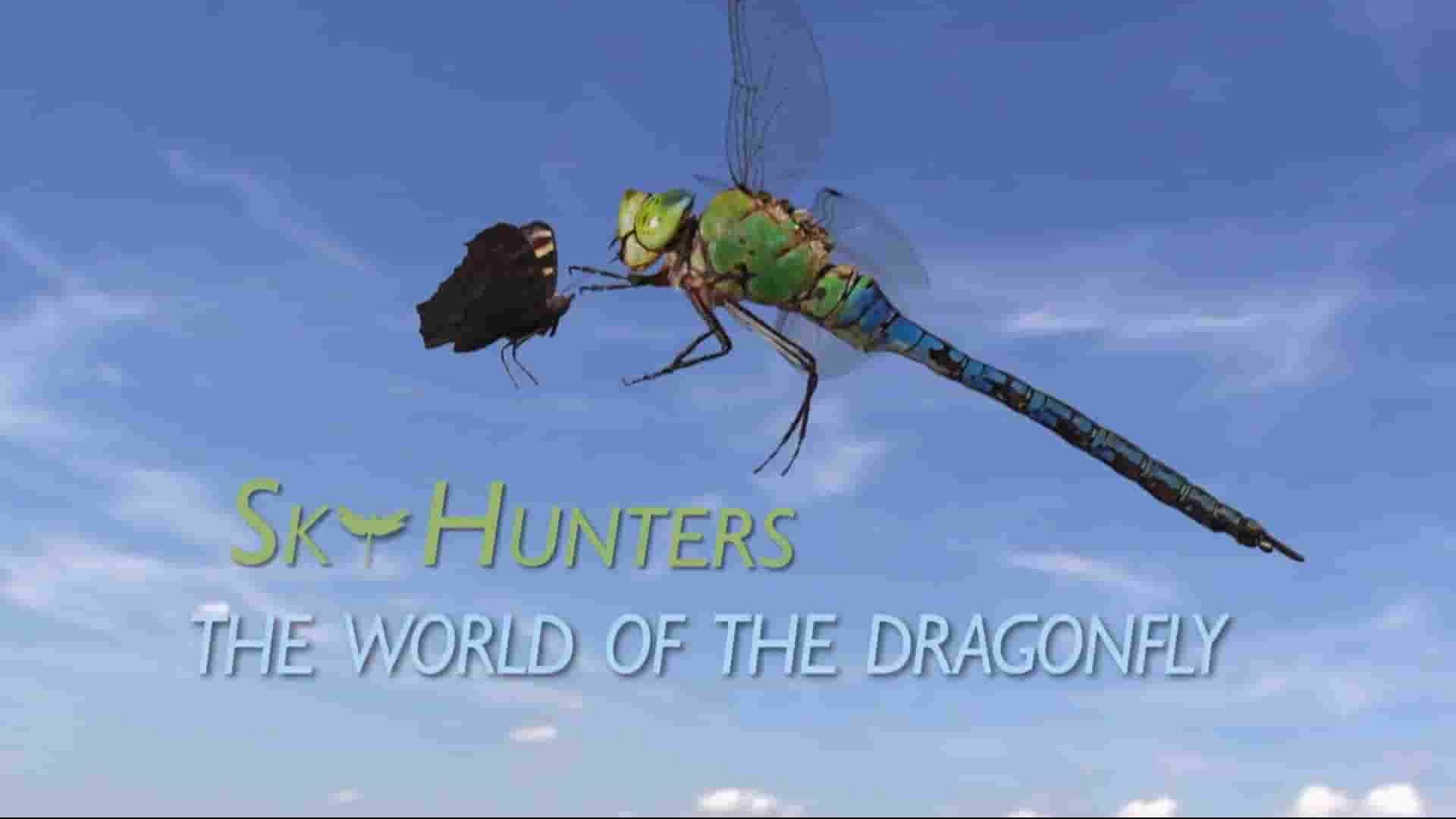 ORF纪录片《空中猎手：蜻蜓的世界 Sky Hunters The World Of The Dragonfly 2010》全1集 英语外挂英字1080P高清网盘下载 