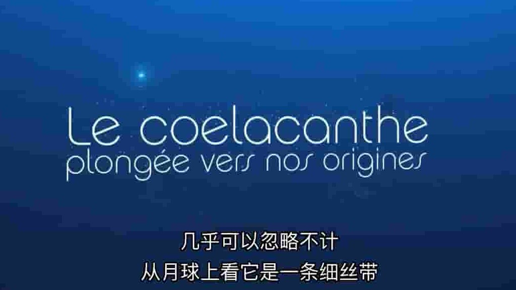 史密森尼频道《活化石腔棘鱼 Le coelacanthe plongée vers nos origines 2013》全1集 英语无字 720P高清网盘下载 