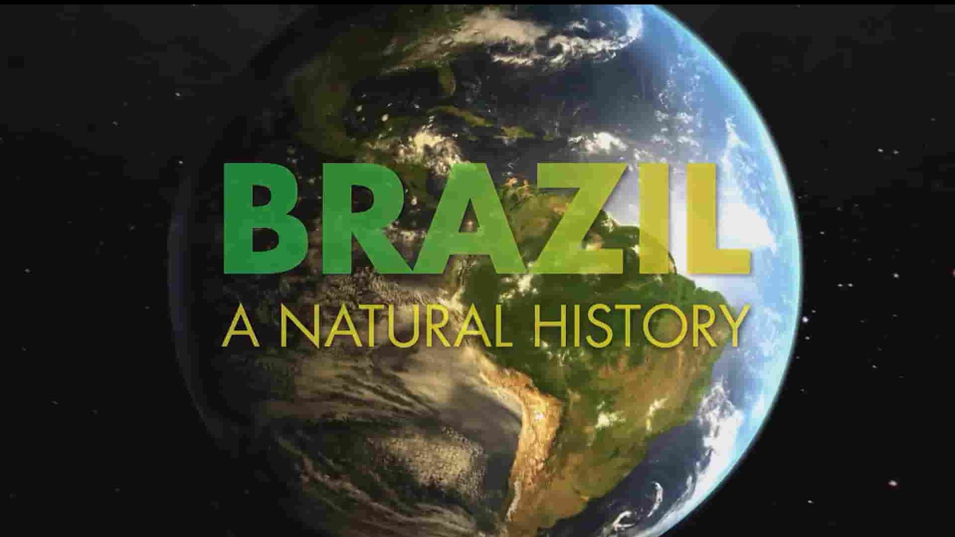 TerraMater纪录片《巴西—自然历史 Brazil A Natural History 2015》全5集 英语无字 1080P高清网盘下载 