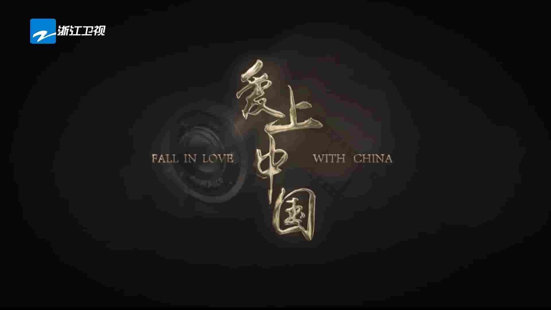 央视纪录片《爱上中国 Fall in Love With China 2017》全3集 国语中字 1080P高清网盘下载