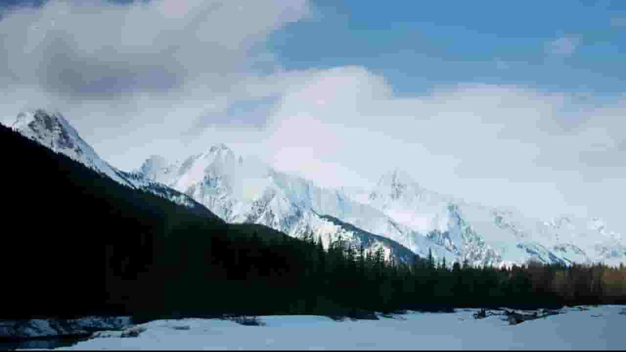 Ch5纪录片《阿拉斯加：狂野一年/阿拉斯加：荒野年轮 Alaska A Year In The Wild 2017》全4集 英语英字720P高清网盘下载 