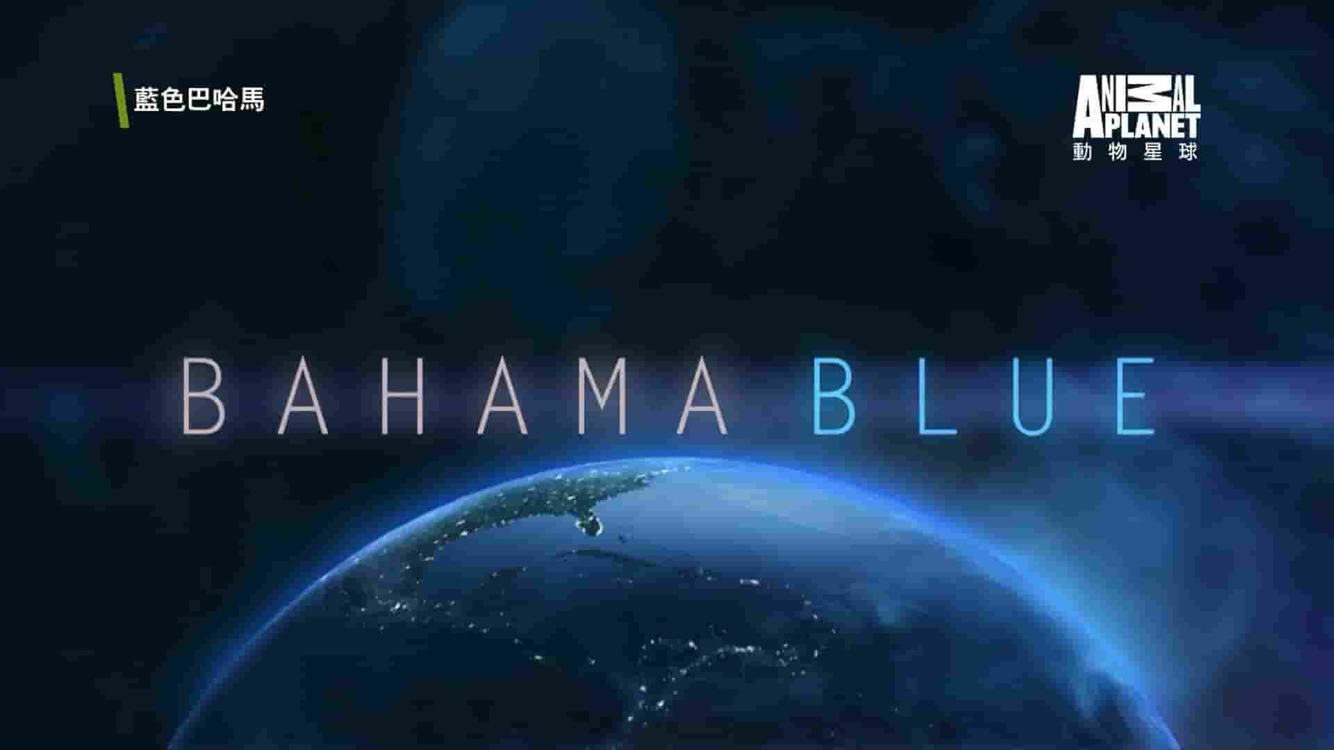 探索频道 动物星球《蓝色巴哈马：红树林 Bahama Blue:Mangroves 2017》全1集 英语中字 1080P高清网盘下载 