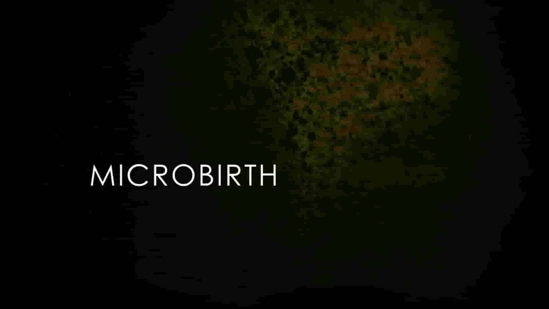 Alto Films纪录片《微分娩 Microbirth 2015》全1集 英语中英双字 1080P高清网盘下载