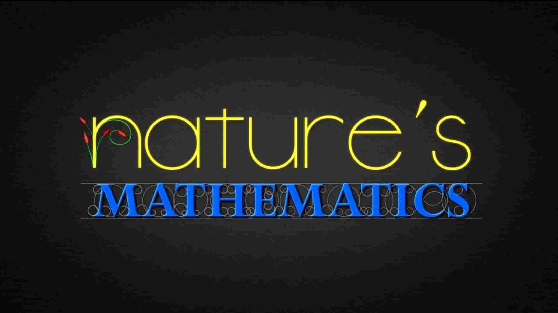 Curiosity Stream纪录片《大自然的数学 Nature