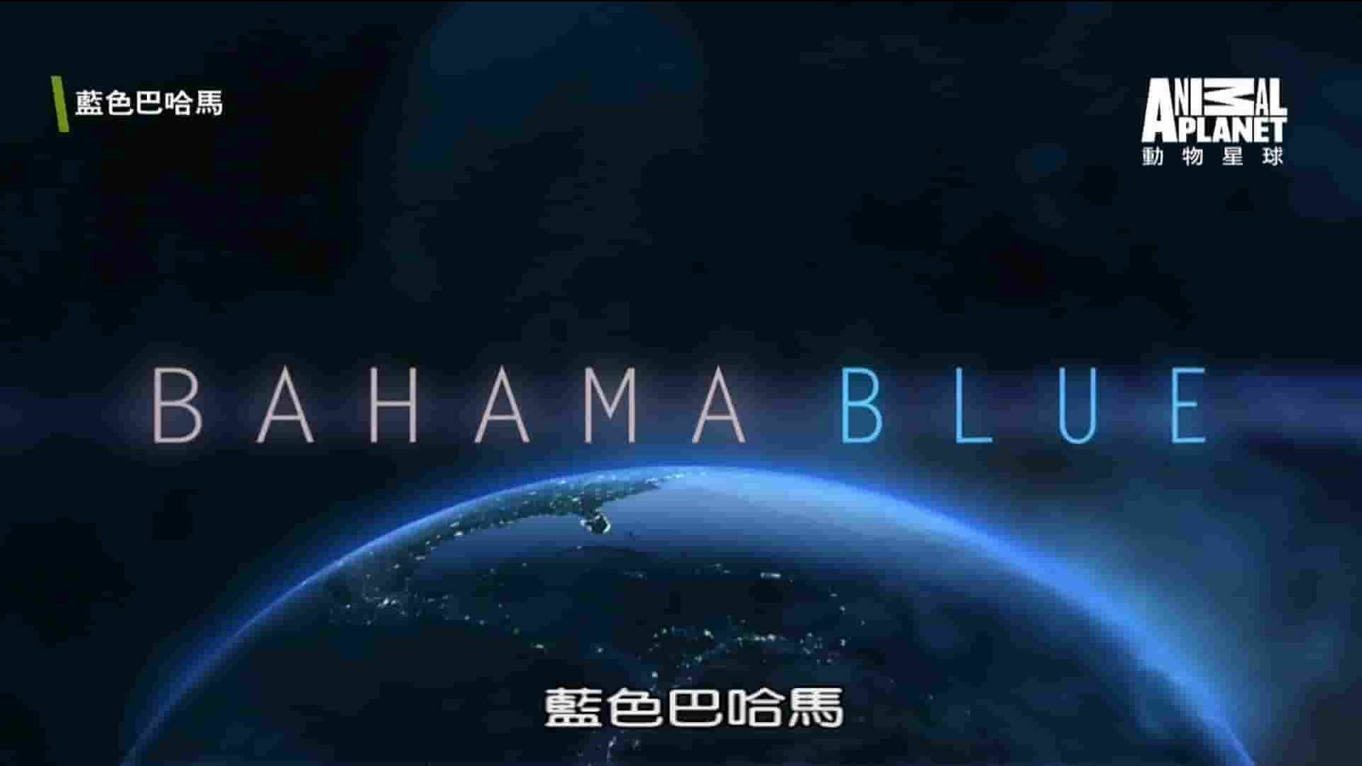 探索频道 动物星球《蓝色巴哈马：蓝洞与洞穴 Bahama Blue:Blue Holes And Caves 2017》全1集 英语中字 1080P高清网盘下载